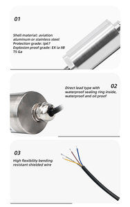 Sensor de Vibración Industrial con Acelerómetro Piezoeléctrico Integrado de 2/3 Cables, 4-20 mA, 0~20 mm/s, 0~50 mm, 0~100 µm * 1.25 mm - Product Image 3