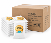 12 lingettes humides pour animaux de compagnie (chiens et chats), non parfumées, pour le nettoyage post-urine et l'hygiène post-rectale, pack de voyage portable, vente en gros