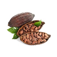 Vente en gros de beurre de mangue cru naturel pur huile pour vrac biologique beurre corporel raffiné pour usage cosmétique