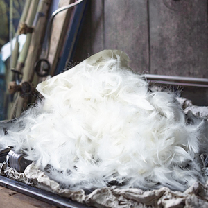 Remplissage de plumes <span class=keywords><strong>d</strong></span>'<span class=keywords><strong>oie</strong></span> lavées <span class=keywords><strong>prix</strong></span> usine pour literie coussin oreiller couette certifié RDS - Product Image 3