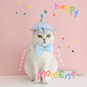 Ensemble de déguisement féerique pour animaux de compagnie (chats, chiens, lapins, ours en peluche) avec collier à nœud <span class=keywords><strong>papillon</strong></span> à paillettes, dentelle florale, chapeau et accessoires de tête, pour anniversaire, <span class=keywords><strong>mariage</strong></span> et toutes saisons - Product Image 1
