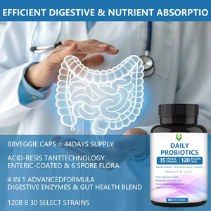 Hot Selling Daily Probiotics Capsules Dietary <b>Supplement</b> for Boost Immune System and Promote Digestive Health for Adult - Product Image 4