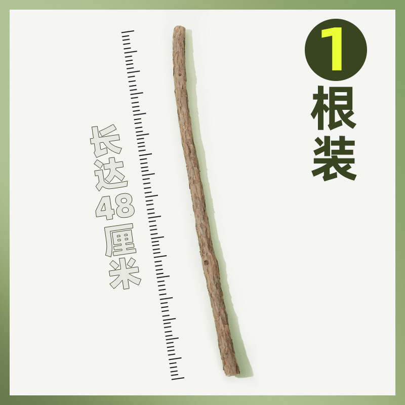 48cm Extra Long Woody Polygonum