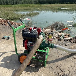 Pompe <span class=keywords><strong>d</strong></span>'<span class=keywords><strong>irrigation</strong></span> agricole auto-amorçante haute pression, hauteur de refoulement 8m - Product Image 5