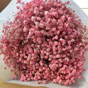 Macaron couleur série bébé haleine <span class=keywords><strong>fleur</strong></span> séchée en gros conservé <span class=keywords><strong>fleur</strong></span> éternelle Rose pour mariage décor à la maison - Product Image 1