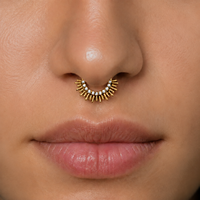 Lotus Wholesale ASTM F136 Titane Serpent Papillon CZ Anneau Segmenté Articulé Clicker pour Septum Hélix Cartilage Nez Bijou de Piercing