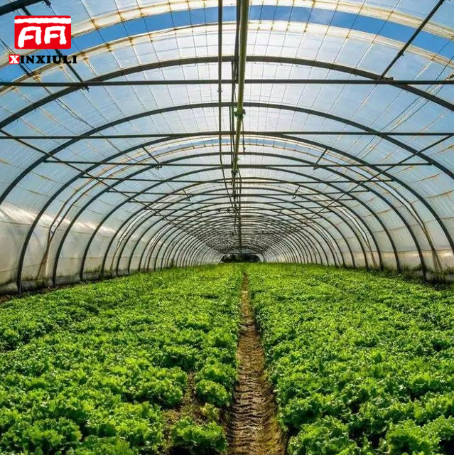 Long Life Time UV Resistant 3 Years/4 Years/5 Years Agricultural Greenhouse Film Plastic PE EVA Anti-drip Anti-fog 7-Layer
