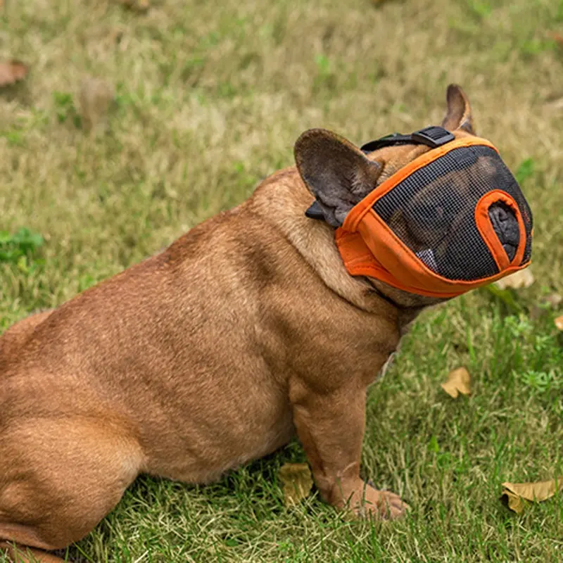 Bite önlemek bark ayarlanabilir kısa burun köpek bulmacalar Anti-barking anti-ısırma ağız gag hayvanlar için köpek ağız
