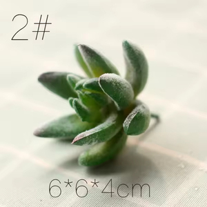 Bán Buôn Chất Lượng Cao Nhân Tạo Nhỏ Mọng Nước Nhà Máy Mô Phỏng Mọng Nước Nhựa Meaty Nhà Máy - Product Image 6