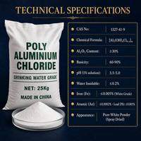Chlorure de Polyaluminium Blanc (PAC) de Qualité pour le Traitement de l'Eau Potable