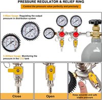 Régulateur de pression de bière à double sortie pour fût, régulateur de réservoir de CO2 CGA-320, sortie à raccord cannelé 5/16 pouces pour brassage artisanal