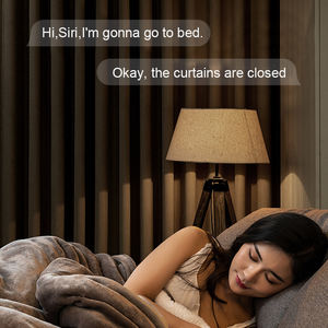 2NM Tuya แอป Wifi อัจฉริยะ, กันสาดไฟฟ้ามอเตอร์ท่อผ้าม่านควบคุมระยะไกลการออกแบบที่ทันสมัยสำหรับโรงแรม - Product Image 5