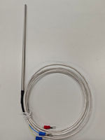 Sonde de thermocouple blindée de type T, capteur haute précision, personnalisable pour la mesure industrielle