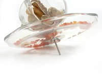 Accessoires pour perroquets, mangeoire ronde pour oiseaux en PP + acier inoxydable sans BPA, écologique, peut être accrochée à l'intérieur ou à l'extérieur de la cage à oiseaux