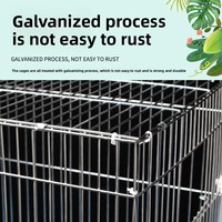 Cage d'élevage pour perroquets, cage d'élevage galvanisée, cage d'élevage robuste assemblée, vente en gros