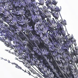 Flor Artificial decorativa hacer conservas de lavanda estabilizado lavanda - Product Image 1
