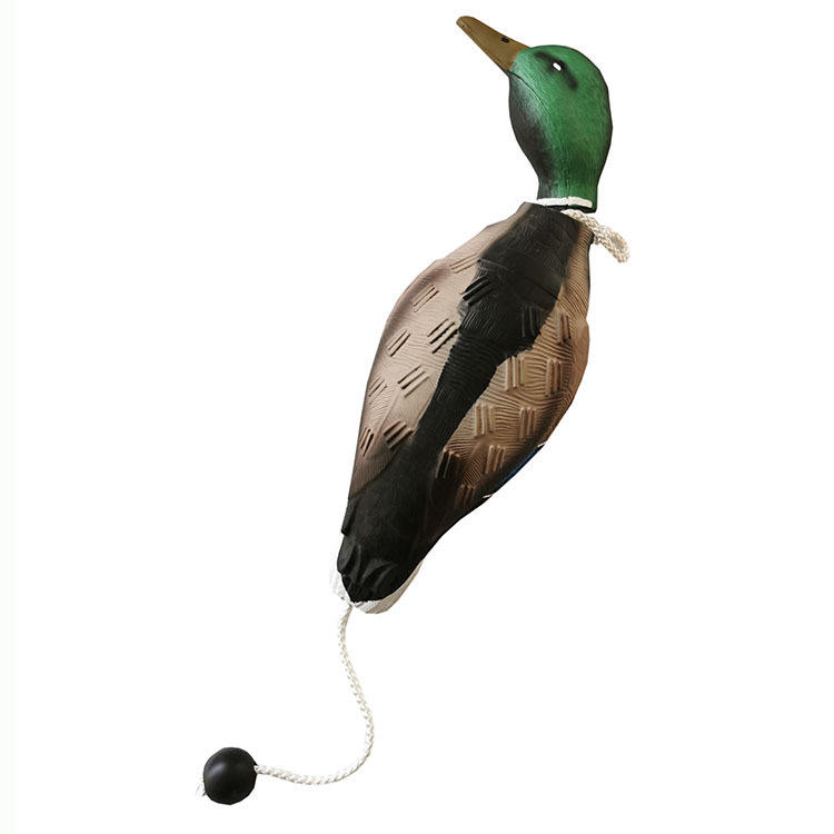 Green-headed duck
