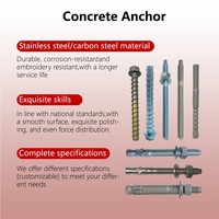 Hot Selling Leading Manufacturer Grade 8.8 Zinc Plated Chemical Anchor Bolt ETA Quality OEM Available Free Sample