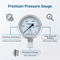 Manomètre en acier inoxydable OEM ODM 0-1MPa, haute précision, pour systèmes hydrauliques, 100 mm, utilisation gaz et liquide