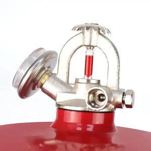 <span class=keywords><strong>Extincteur</strong></span> automatique <span class=keywords><strong>à</strong></span> poudre sèche et mousse d'<span class=keywords><strong>eau</strong></span> de qualité supérieure AnBao AB-H004 de qualité industrielle en acier au carbone rouge suspendu pour - Product Image 6