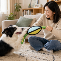 Jouet couineur pour chien en tissu latex, ballon de rugby à mâcher pour petits et moyens chiens