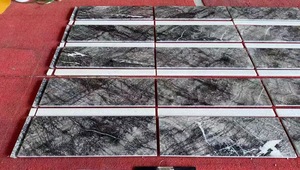 Cathaya <strong>Grey</strong> Italian Silver Fir Natural Stone - <strong>Grey</strong>-White with Black Vein Texture Marble for Indoor Walls/Countertops - Product Image 4