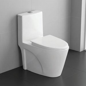 WC monobloc en céramique indienne à chasse d'eau, blanc, à poser au sol - Product Image 1