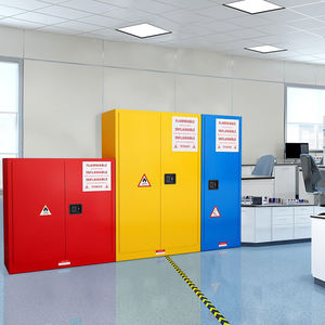 22-גלון ארון בטיחות פלדה דו נעול כפול רהיטי מעבדה מתכווננת לבית הספר בית החולים סדנת עיצוב תעשייתי מודרני - Product Image 4