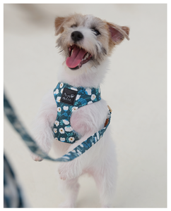 Harnais pour chien et chat en coton confortable de qualité supérieure, style tendance, respirant, élégant, accessoire personnalisé pour animaux de compagnie, vente en gros OEM - Product Image 3