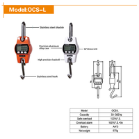 Pèse-grue numérique LCD en acier inoxydable avec crochet et manille, 30 kg, résistant à la corrosion, OEM pour l'alimentation/pêche