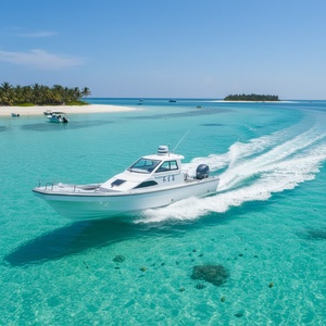 Bateau de pêche en fibre de verre Grandsea China de 32 pieds (9,6 m) avec toit rigide et console centrale, type Panga, à vendre - Product Image 1