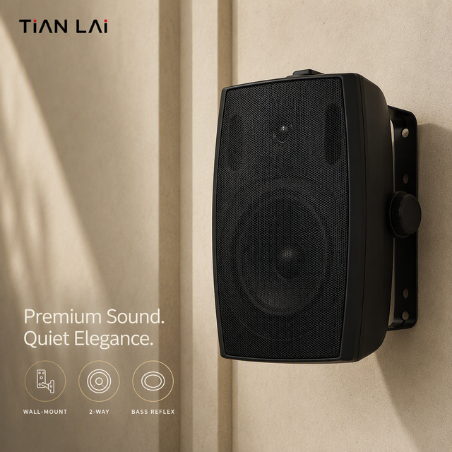 TL-BTG51 Built In Amplifier Wall Speaker Master 1 Slave AC 90 220V 20 30W 5 Inch 91dB Metal Mounting Bracket For Bar