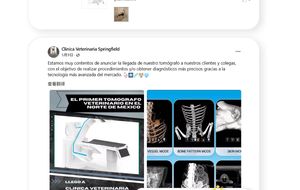 Pemindai CT Hewan Peliharaan Kompatibel CBCT, Mode C-arm CT Dinamis DR, Desain Canggih, Peralatan Veteriner, Layar Sentuh, Aman, Dapat Digunakan Kembali - Product Image 2