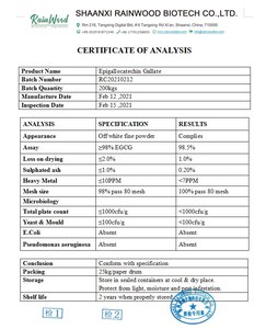Extrait de thé vert EGCG épigallocatéchine gallate poudre 50% 98% EGCG - Product Image 2