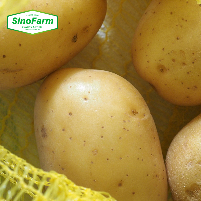Wholesale China Fresh Potato Best Price