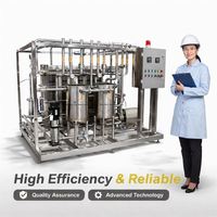 Pasteurisateur à plaques sur mesure 5T 10T 20T en acier inoxydable SU304 pour lait frais, jus et vin, automatique