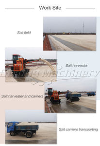 Máquina Trituradora, Moledora y Recolectora de Sal Marina, Capacidad de 300-400 t/h, 30-45 HP - Product Image 5