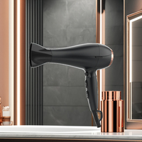 Sèche-cheveux ionique professionnel 2000W moteur à courant continu électrique haute vitesse Portable avec buse de diffuseur pour usage domestique et hôtelier