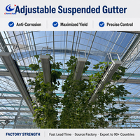 Gouttière de culture de fraises suspendue avec structure en acier galvanisé, bac hydroponique suspendu pour serre