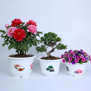 Heavy Duty Injection Molded PP <b>Plastic</b> Round <b>Planter</b> Pots Multiple Sizes with Floral Decals B2B Supplier - Product Image 1