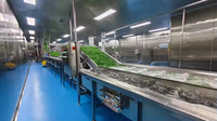 3 Ton/uur PLC-motor bevroren vruchten- en groenteproductielijn, hoogwaardige voedselveilige roestvrijstalen industriële bevroren apparatuur