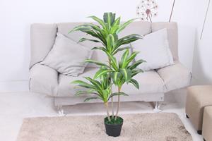 Arboles artificiales Dracaena Fragrans Plástico para interiores - Product Image 3