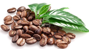 2024 300-1500g/lote tostador de granos de café <span class=keywords><strong>industrial</strong></span> café cacao máquina para asar y hornear a la <span class=keywords><strong>venta</strong></span> Europa - Product Image 2