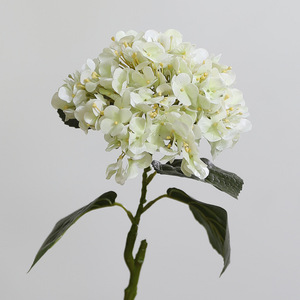 <span class=keywords><strong>Hortensias</strong></span> <span class=keywords><strong>Artificiales</strong></span> de Látex de Alta Calidad, 16 cm, <span class=keywords><strong>con</strong></span> Tallo y Hojas de Aspecto Real, para Decoración de Interiores y <span class=keywords><strong>Jarrones</strong></span> - Product Image 2