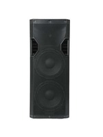 Enceinte professionnelle 2*10 pouces à moule privé, 500W, avec amplificateur de classe D pour petites scènes et soirées