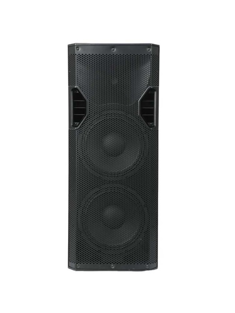 Private Mould 2*10 Inch Professional Loudspeaker Box 500W DJ Speaker With Class D Amplifier for Small Live Stage and Party
