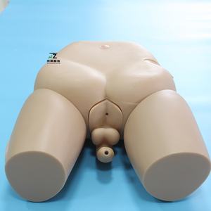 Modèle médical avancé de haute qualité pour la formation en soins infirmiers, avec parties génitales masculines, cathétérisme urétral et lavement, couleur chair - Product Image 3