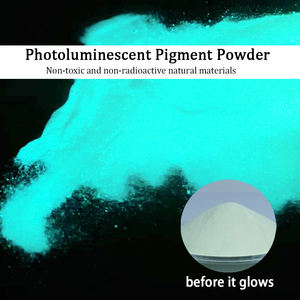 Commercio all'ingrosso glow in polvere pigmento premium neon pigmento notte glow polvere per bagliore nel buio di stampa, rivestimento - Product Image 4