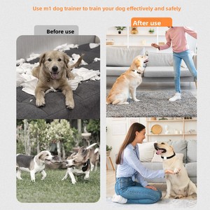 Système d'entraînement canin professionnel - Entraînement par vibration humaine, conception intelligente, idéal <span class=keywords><strong>pour</strong></span> les animaleries - Product Image 2
