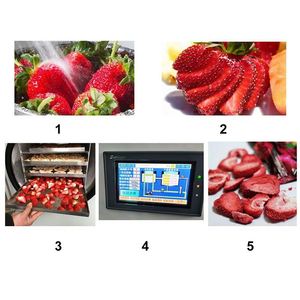 <span class=keywords><strong>Liofilizador</strong></span> Pequeño de Alta Productividad <span class=keywords><strong>Harvest</strong></span> <span class=keywords><strong>Right</strong></span> con Certificado CE - Product Image 2